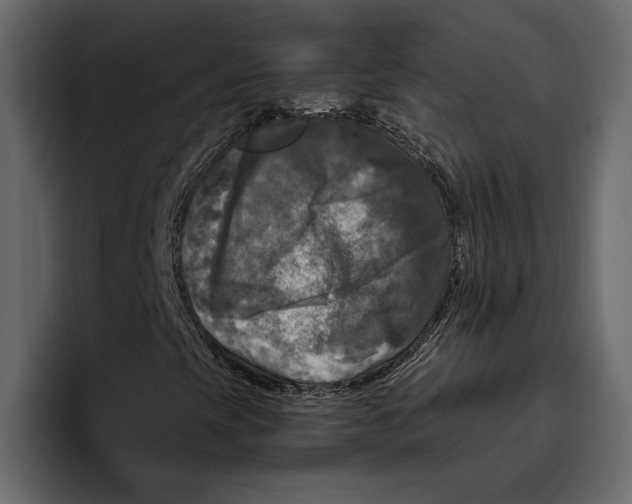 X0000094791393200712141628