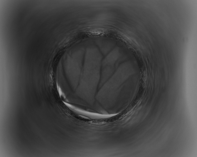 X0000094791394200712141628