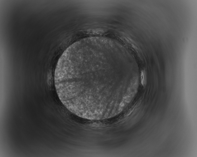 X0000094791395200712141628