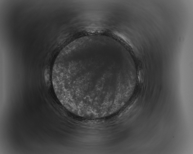 X0000094791396200712141628