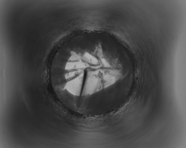 X0000094791398200712141628