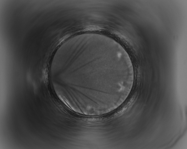 X0000094791401200712141628