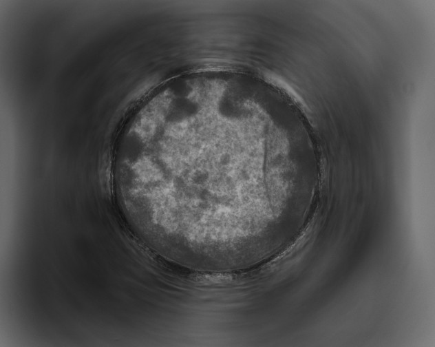 X0000094791403200712141628