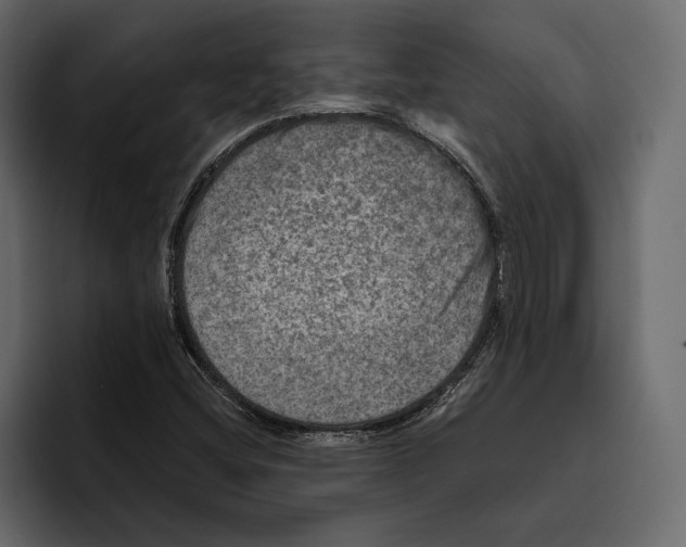 X0000094791404200712141628