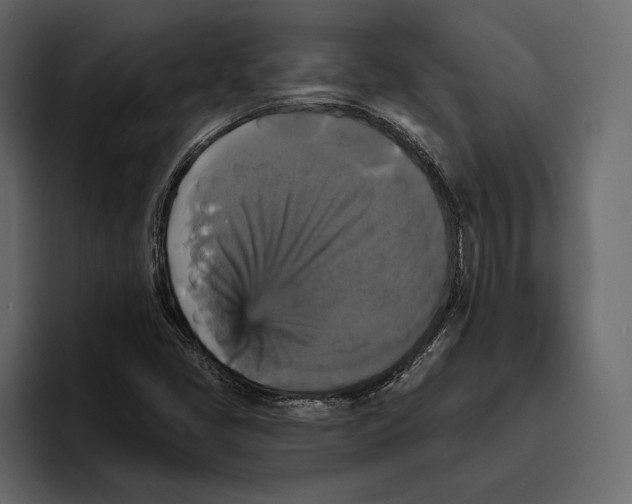 X0000094791405200712141628