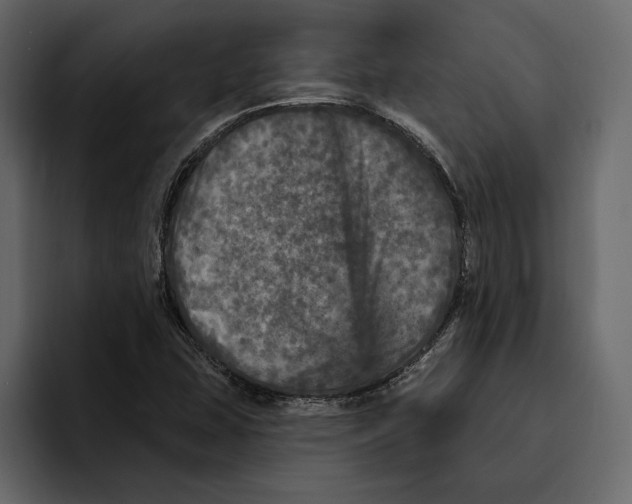 X0000094791407200712141628