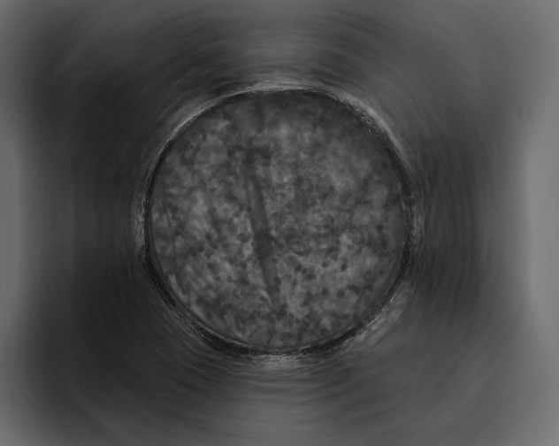 X0000094791409200712141628