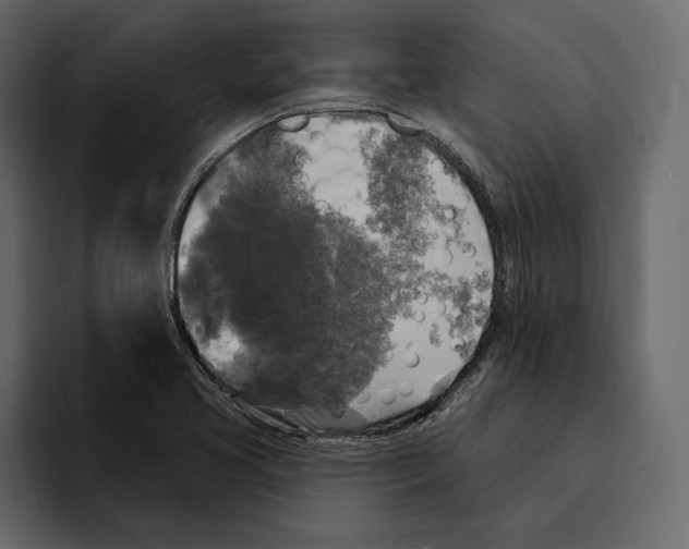 X0000094791413200712141628