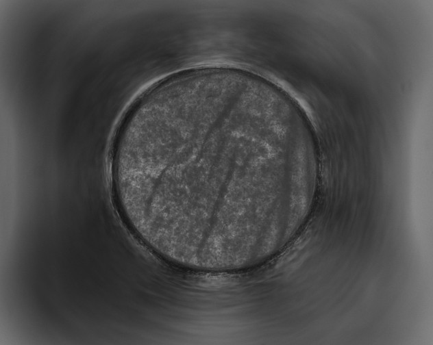 X0000094791416200712141628