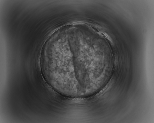 X0000094791417200712141628