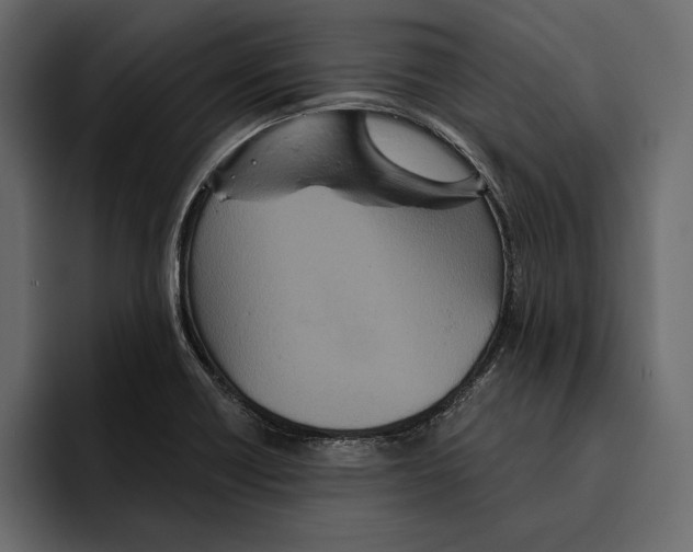 X0000094791418200712141628