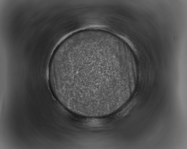 X0000094791420200712141629