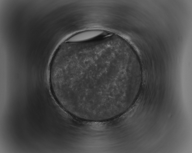 X0000094791424200712141629