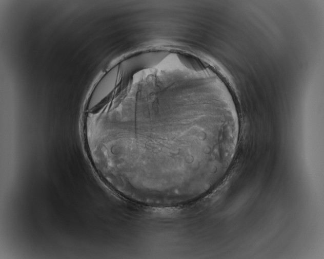 X0000094791429200712141629