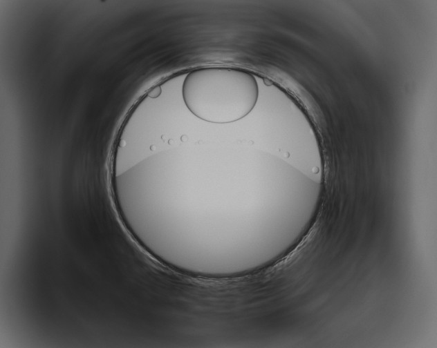 X0000094791432200712141629