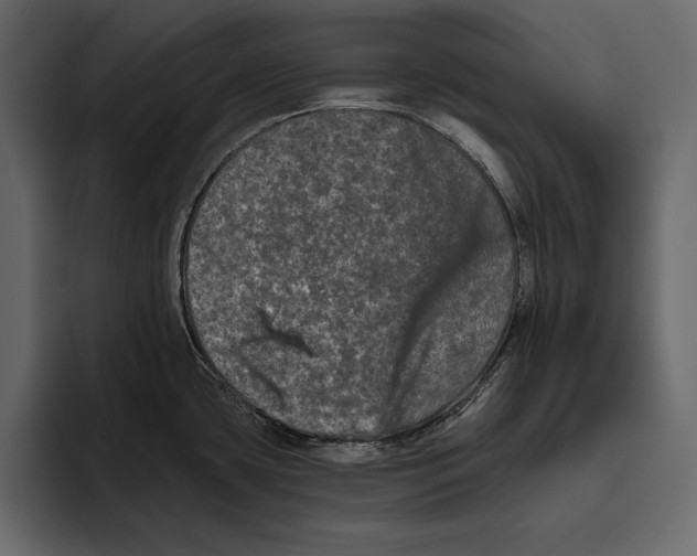 X0000094791435200712141629