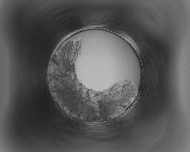 X0000094791436200712141629