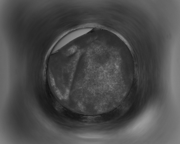 X0000094791438200712141629