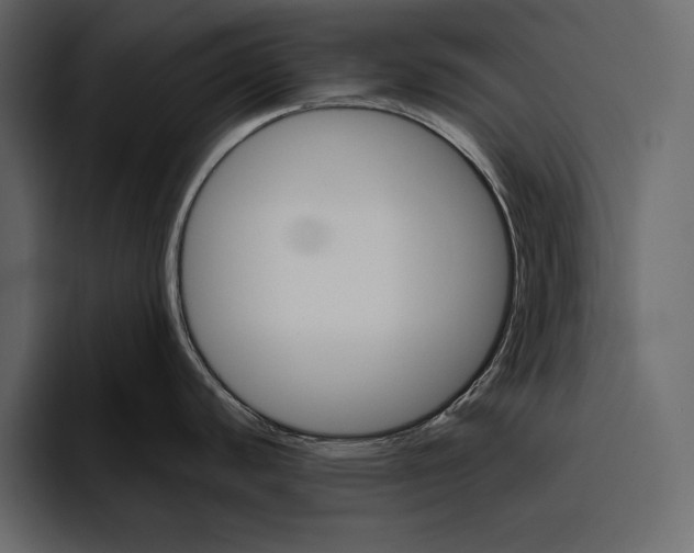 X0000094791440200712141629