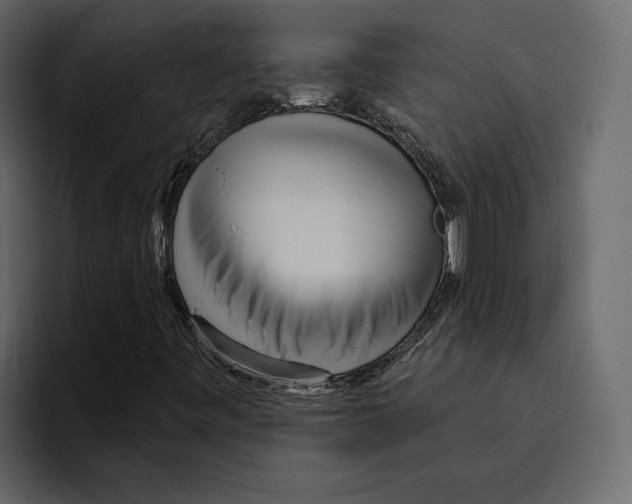 X0000094791443200712141628