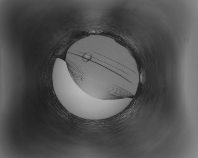 X0000094791444200712141628