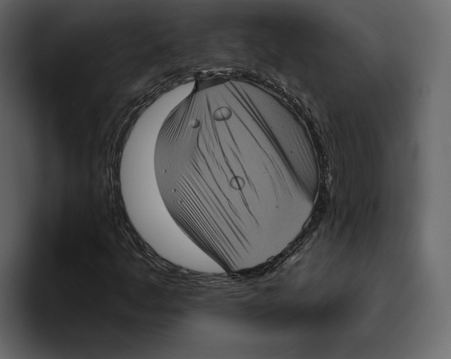 X0000094791445200712141628