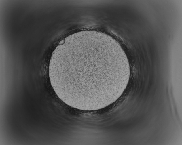 X0000094791447200712141628