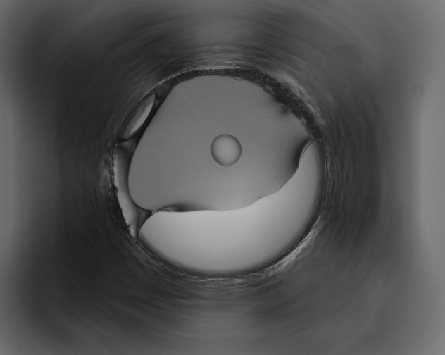 X0000094791449200712141628