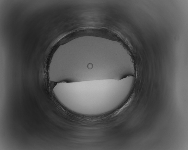 X0000094791453200712141628