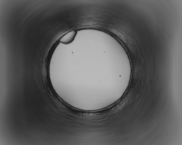 X0000094791458200712141628