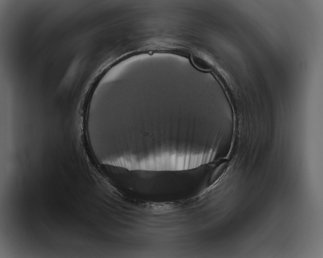 X0000094791459200712141628