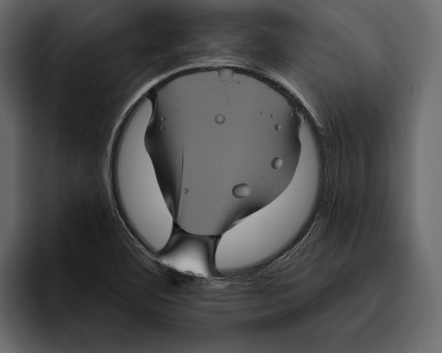 X0000094791460200712141628