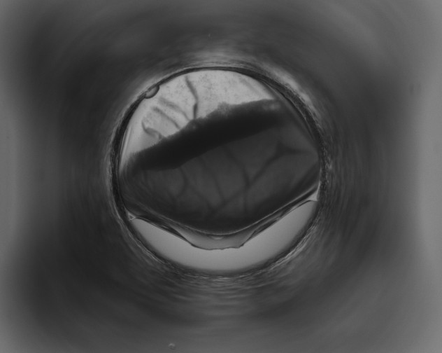 X0000094791463200712141628