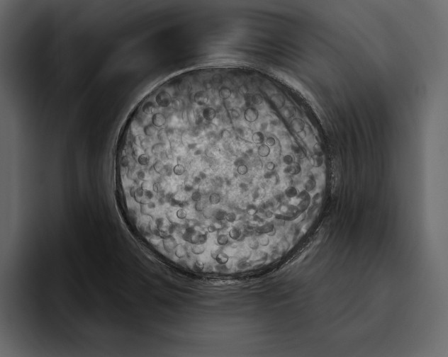 X0000094791467200712141628