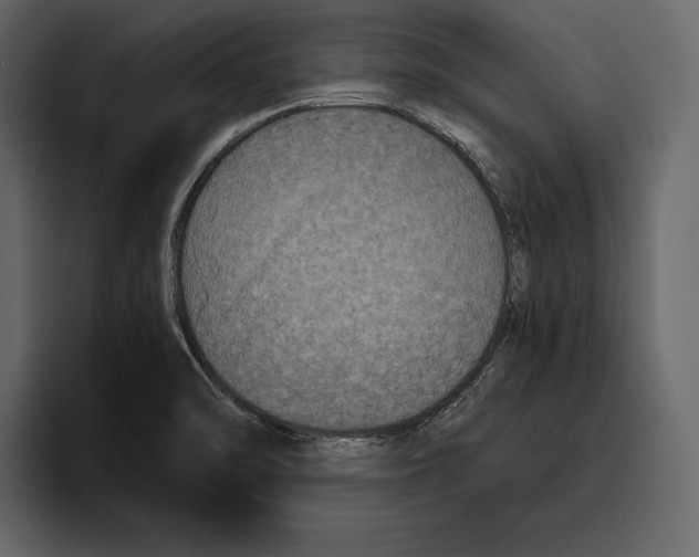 X0000094791470200712141628