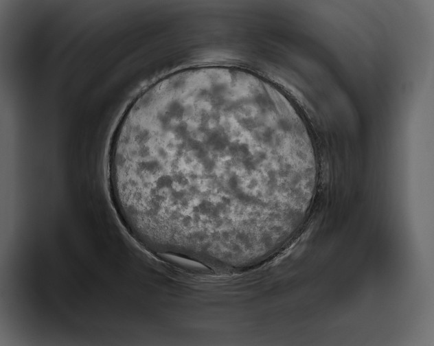 X0000094791471200712141628