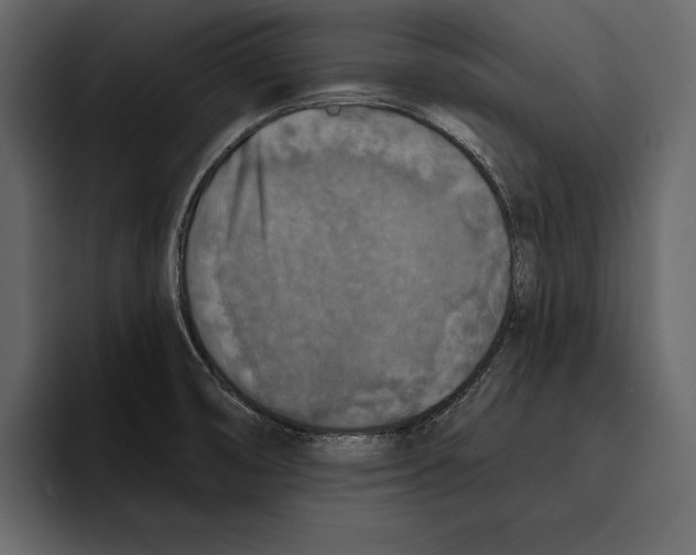 X0000094791474200712141628