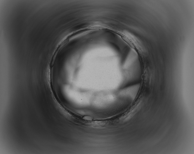 X0000094791476200712141628