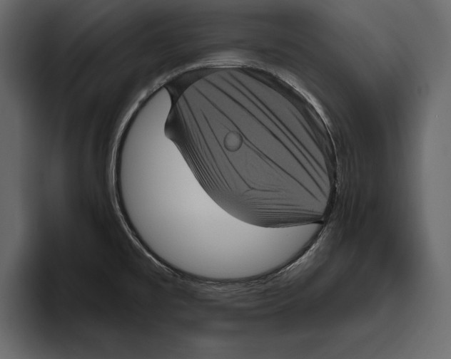 X0000094791477200712141628