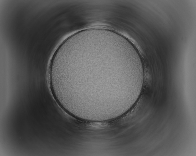 X0000094791478200712141628