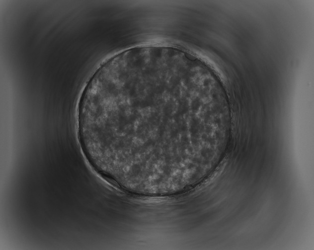 X0000094791479200712141628