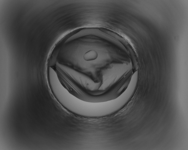 X0000094791480200712141628