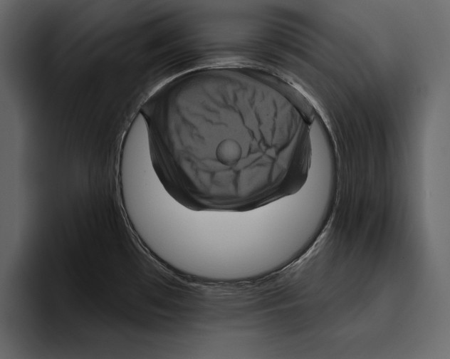 X0000094791481200712141628