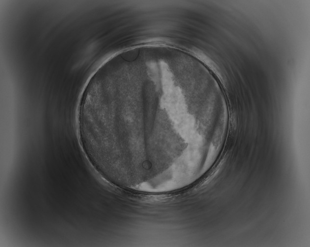 X0000094791482200712141628