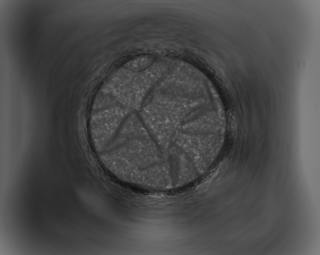 X0000094791489200712141627