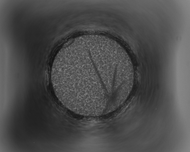 X0000094791493200712141627