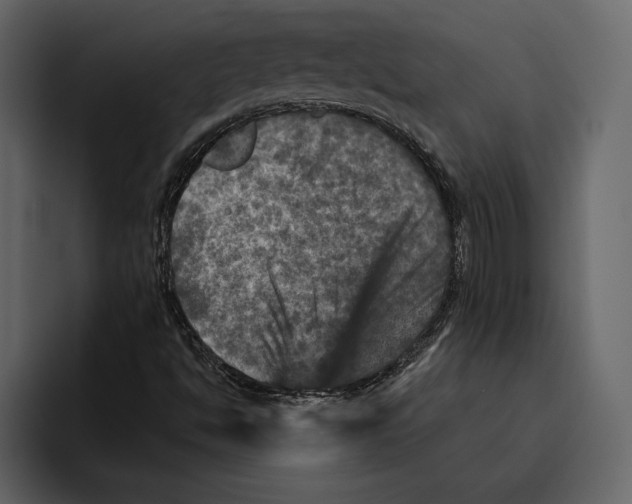 X0000094791494200712141627