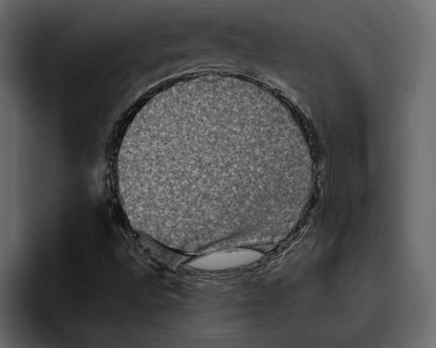 X0000094791496200712141627