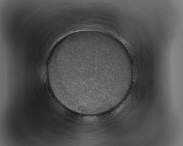 X0000094791498200712141627