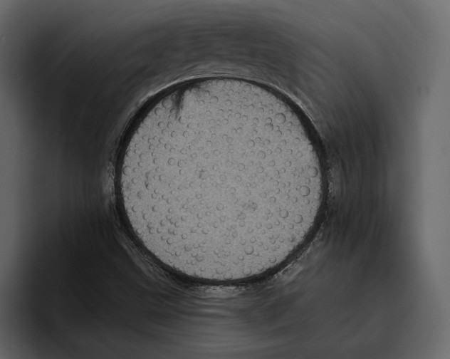 X0000094791499200712141627